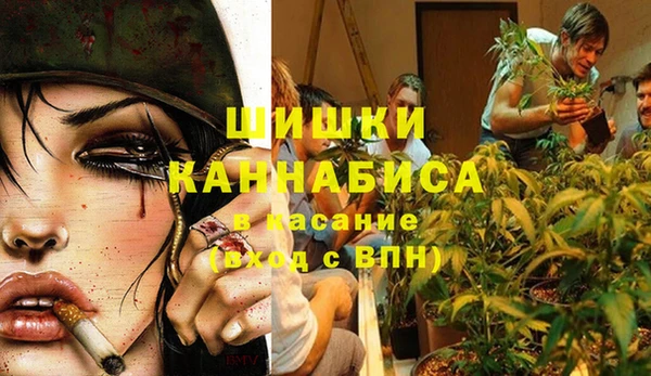 ГАЛЛЮЦИНОГЕННЫЕ ГРИБЫ Навашино