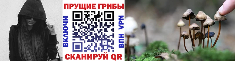 Псилоцибиновые грибы Magic Shrooms  Чудово 
