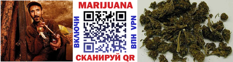 omg маркетплейс  цена наркотик  Чудово  Каннабис ГИДРОПОН 